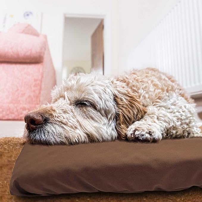 Dog Bed Cover Waterproof Replacement Machine Washable Covers for 36x27 Inch Dog Bed Heavy Duty Scratch Resistant Mattress Protector Pet Bed Cover Only Brown