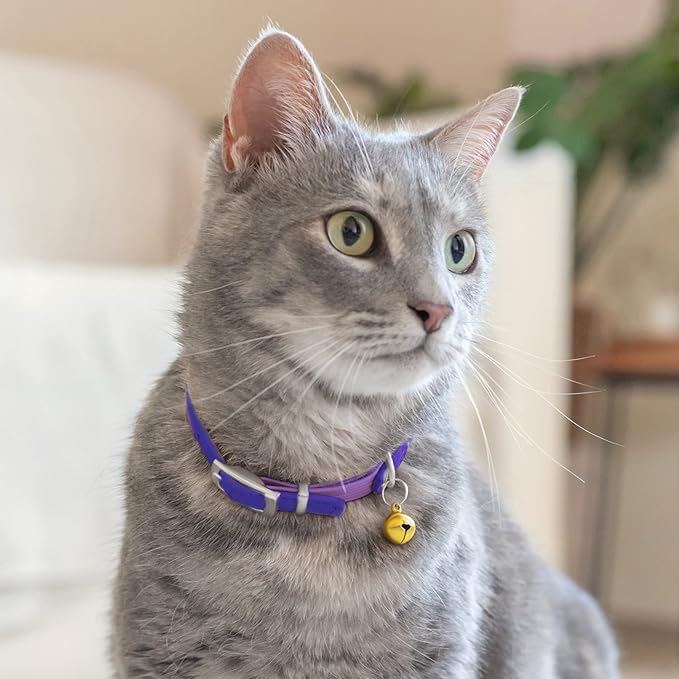 CollarDirect Leather Cat Collar with Bell - Kitten Collar, Small and Big Cat Collar for Boy Cats, Girl Cats with Safety Elastic Strap (Neck Fit 8"-11", Purple)