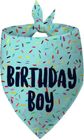 Birthday Boy Dog Bandanas 1 Pack, Blue Birthday Dog Scarfs, HBD Pet Scarves for Birthday Boy Party Bandanas for Small and Medium Dogs (Blue, Small)
