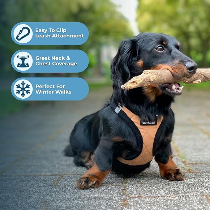 Best Pet Supplies - All Weather Plush, Reflective, No Pull Harness for Small, Medium Dogs, Cats - Secure with Hook & Loop Fastener, Buckle, Double D-Rings - Beige Plush, XL