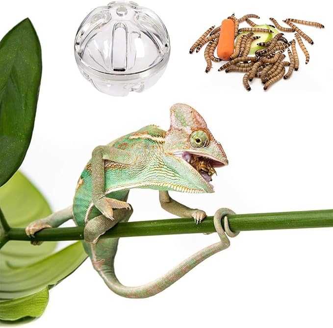 Bearded Dragon Feeder Toy Reptile Foraging Ball Lizard Enrichment Interactive Toy Reptile Terrarium Tank Decor for Lizard,Chameleon Small Animals (3.4 Inch)