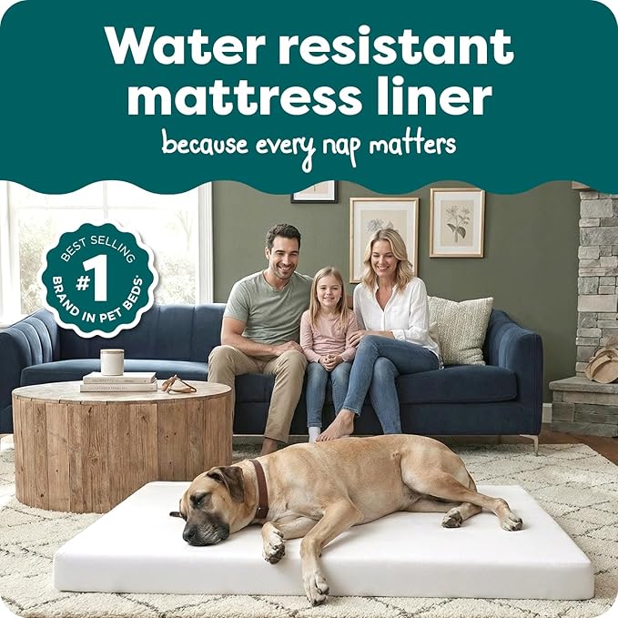 Furhaven Dog Bed Liner Water-Resistant Foam Mattress Protector Cover - White, Jumbo Plus