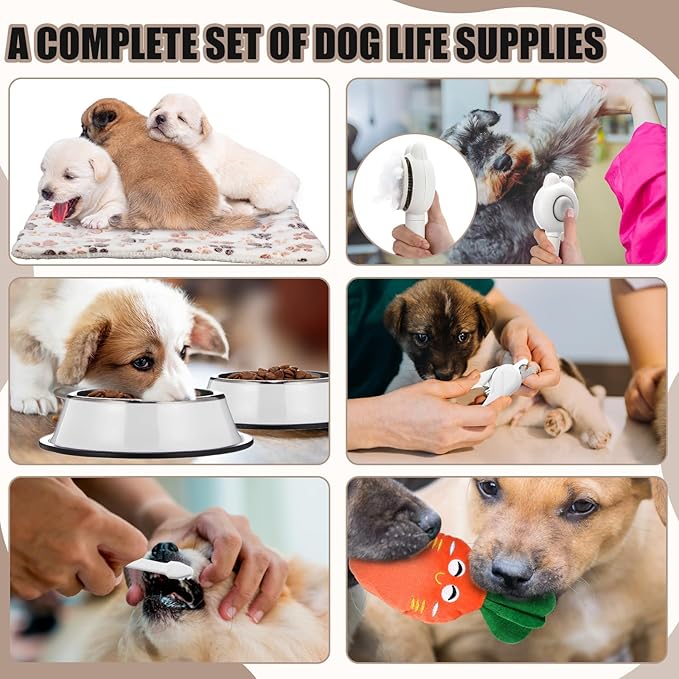 Abbylike 50 Pcs Puppy Supplies Starter Kit for Small Dogs Puppy Essentials Includes Leash, Bowls, Teeth Brushes, Water Bottle, and More Accessories for Dogs Christmas Welcome Gift (White)