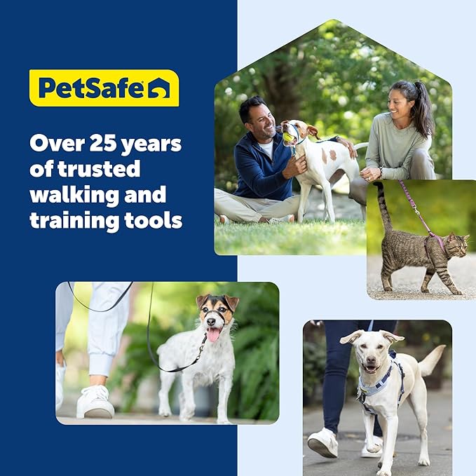 PetSafe Come With Me Kitty Cat Harness & Bungee Leash - Comfortable Cat Harness with Lightweight Bungee Leash for Outdoor Fun - More Secure Walks - Medium - Black