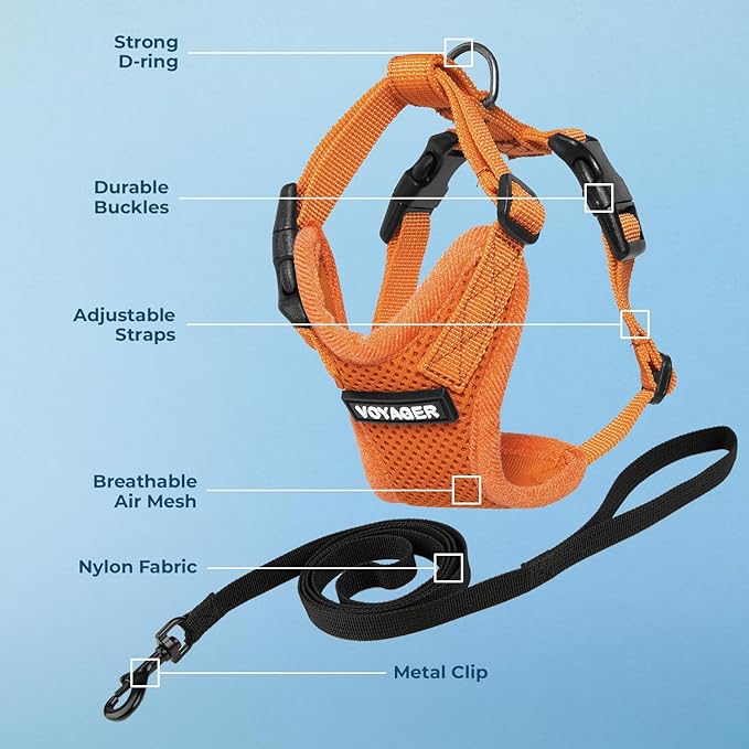 Voyager Escape-Proof Step-in Lock Cat Harness & 5ft Neoprene-Handle Leash Set All-Weather Mesh with Reflective Stitching for Small to Large Cats by Best Pet Supplies, Orange, XS
