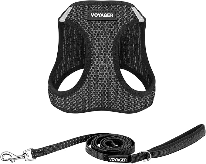 Best Pet Supplies Voyager Step-in Air All Weather Mesh Harness and Reflective Dog 5 ft Leash Combo with Neoprene Handle, for Small, Medium and Large Breed Puppies - Gray (2-Tone), XL