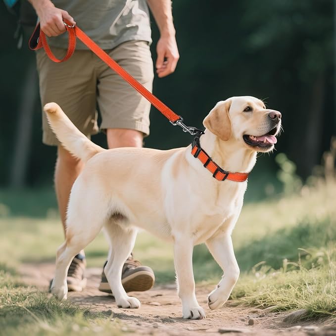 Joytale Reflective Dog Collar, Soft Neoprene Padded, Metal D-Ring, Nylon Pet Collar Adjustable for Large Dogs, Orange, L