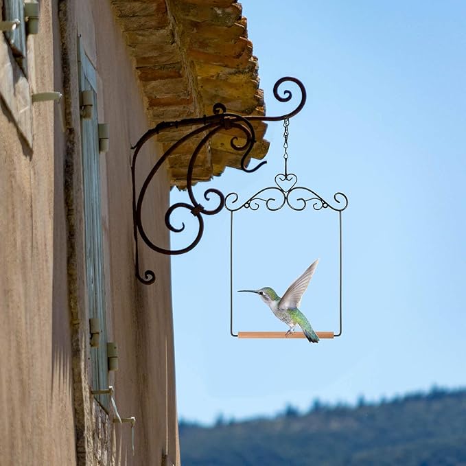 Hotop 2 Pcs Hummingbird Swings and Perches Metal Frame Bird Swing with 2 Replacement Wooden Dowel and 2 Hanging Chain for Outdoor Bird Feeders, Planters, Lanterns Ornaments(Black)