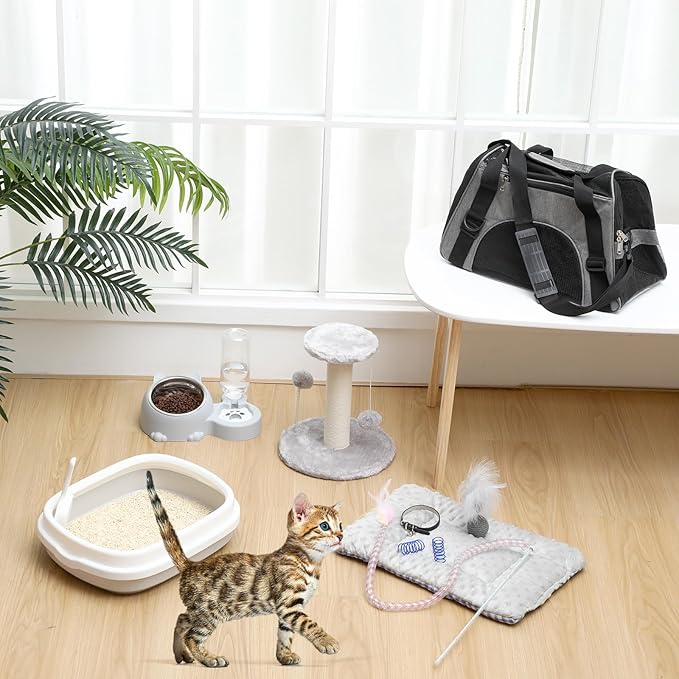 Eccliy Kitten Starter Kit, 10 Pcs Cat Starter Kit for Indoor Cats Kitten Essentials Includes Litter Box, Pet Toy, Folding Carrier, Climbing Frame, Mat, Collar, Automatic Food Bow(Cute,Gray)