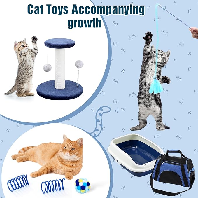 Eccliy Kitten Starter Kit, 10 Pcs Cat Starter Kit for Indoor Cats Kitten Essentials Includes Litter Box, Pet Toy, Folding Carrier, Climbing Frame, Mat, Collar, Automatic Food Bowl (Classic,Dark Blue)