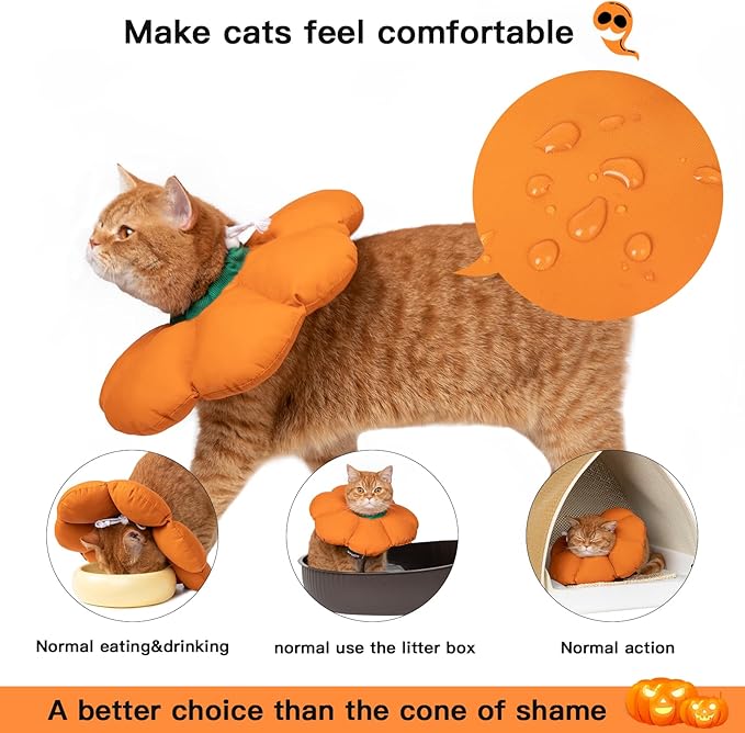 Cat Cone Collar,Cute Waterproof Recovery Collar,Anti-Bite Lick Wound Healing Safety Elizabethan e Collar for Cats,Orange Pumpkin Cat Halloween Costume