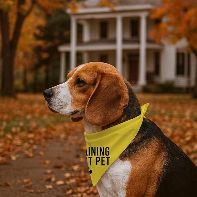 in Training Do Not Pet Dog Yellow Bandana, Training Dogs Scarf, Do Not Pet My Dog, Adjustable Comfortable Triangle Pets Kerchief for Small Medium Boy Girl Dogs