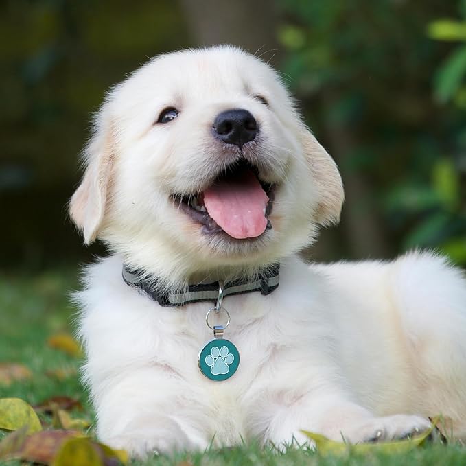 MYLUCKYTAG QR Code Pet ID | Personalized Dog & Cat Collar Tag | Online Profile with Instant Scanned Location Alert Email