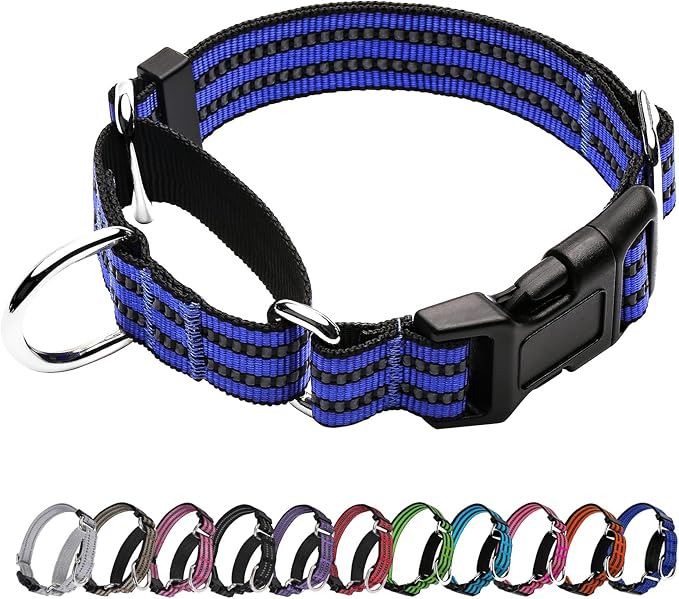 Martingale Dog Collar, Adjustable Nylon Reflective Collar with Quick Release Buckle (Royal Blue, Medium)