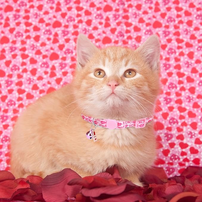 Breakaway Cat Collars with Bell & Cute Pendants, 3 Pack Safety Buckle Kitten Collars, Adjustable Pet Collar Ideal for Girl Boy Cats Puppy (Love Heart)