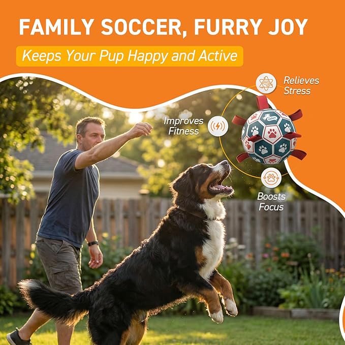 QDAN Dog Toys Soccer Ball with Straps, Durable Giant Dog Balls, Outdoor Dogs Toys, Herding Ball, Birthday Gifts (10 Inch)