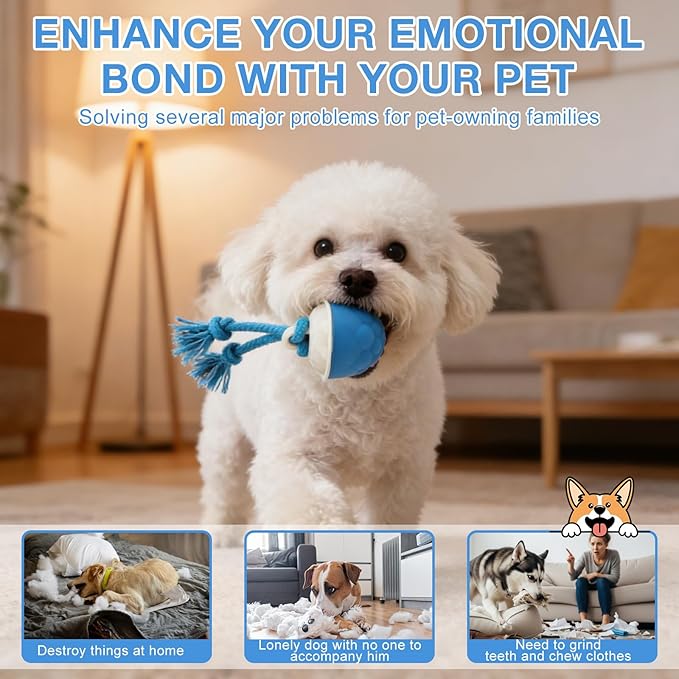 Interactive Dog Ball Toy (3.35x2.76in), 2026 Upgraded Automatic Rolling Ball with 3 Modes, USB Rechargeable, Smart Motion Pet Ball, for Small Medium Large Dogs Indoor Outdoor Play (Orange)