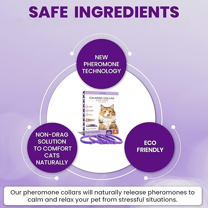 Pheromone Calming Collar for Cats: Breakaway Cat Calming Collar for Anxiety, Separation Stress, Multicat Aggression, Spraying, Meowing - for Indoor Use, Moving & Travel (M Purple)
