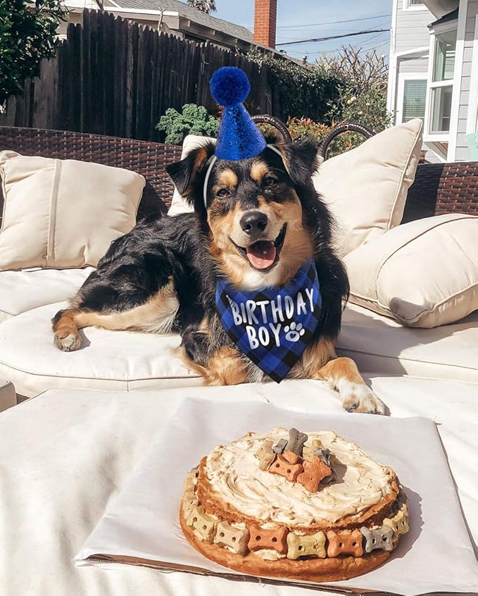 Dog Birthday Party Supplies,Pet Birthday Hat and Boy Doggy Birthday Bandana Set