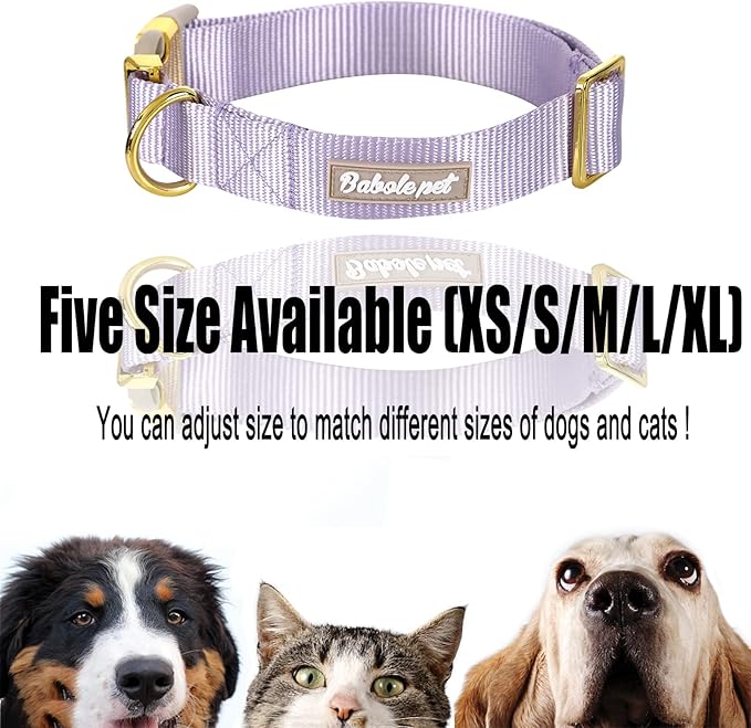 Nylon Dog Collar - Adjustable Lavender Soft Webbing Dog Collars for Small Medium Large Dogs Boy Girl Puppy Collar with Safety Metal Buckle M