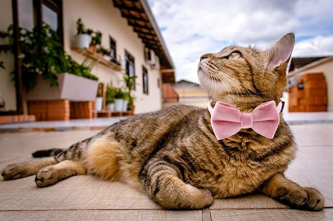Cat Collar Breakaway with Bell and Removable Bow Tie Safety Buckle Velvet Adjustable 7-11 inches for Kitten Cats (Pink)