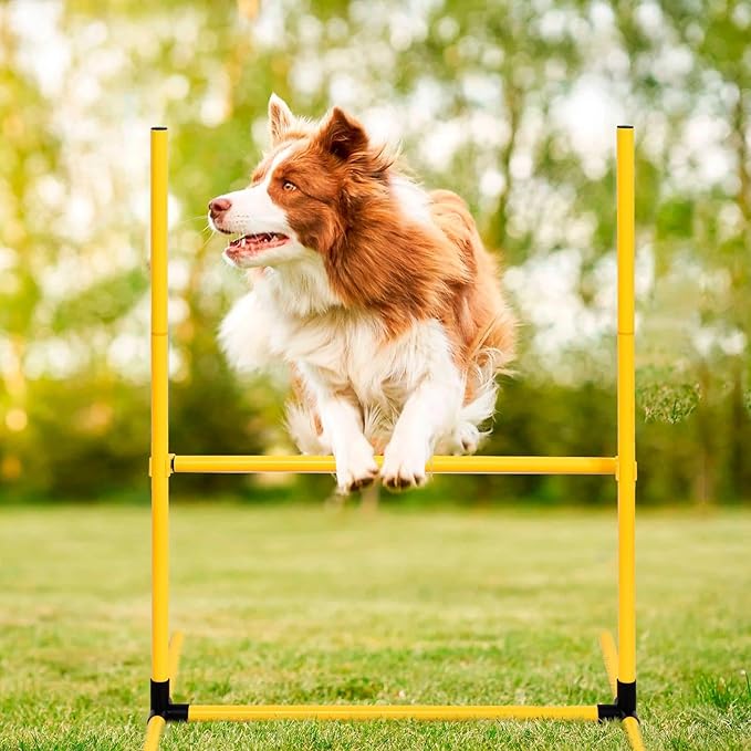 Dog Agility Training Equipment, Dog Agility Course Backyard Set with 2 Adjustable High Hurdle, 2 Tunnels, 6 Weave Poles, Pause Box, Jump Ring, Snack Bag, Folding Bowl, Balls, Whistle, Carry Bag