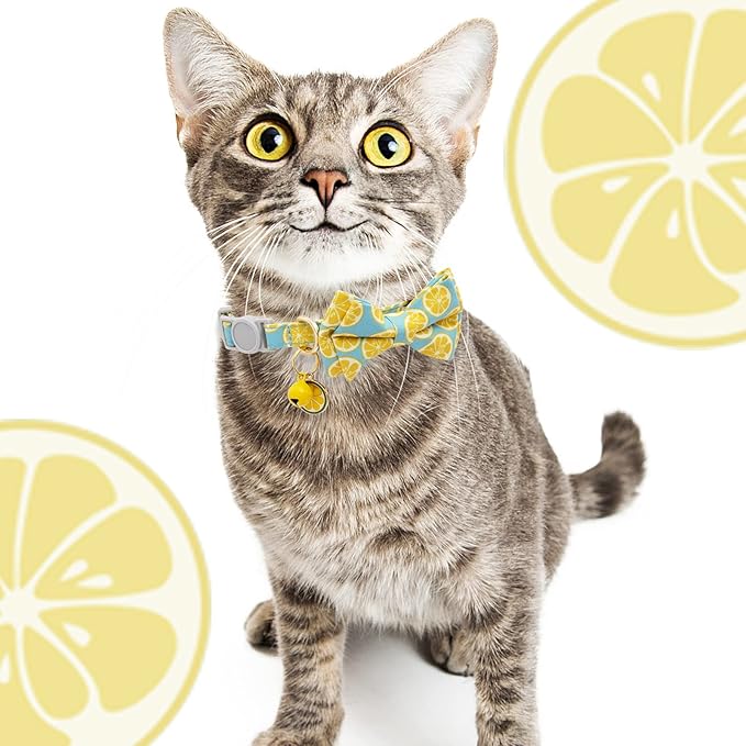 Faygarsle 2 Pack Cute Cat Collar with Bell Breakaway Bowtie for Male Female Cats Soft Fancy Pink Yellow Watermelon Lemon Pattern Spring Summer Cat Collar for Boy Girl Cats