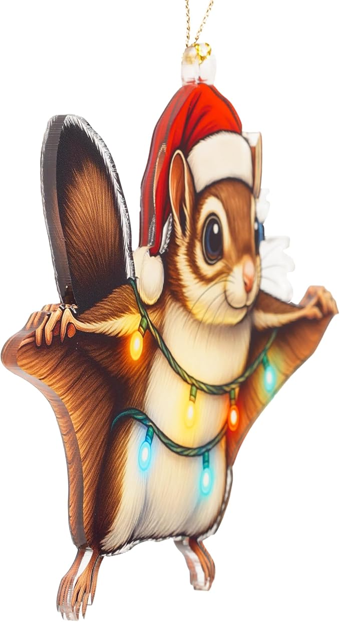 Cute Squirrel Ornaments for Christmas Tree, Squirrel Gifts for Women, Funny Animal Christmas Ornaments, Holiday Decorations for Tree, Secret Santa Exchange Present