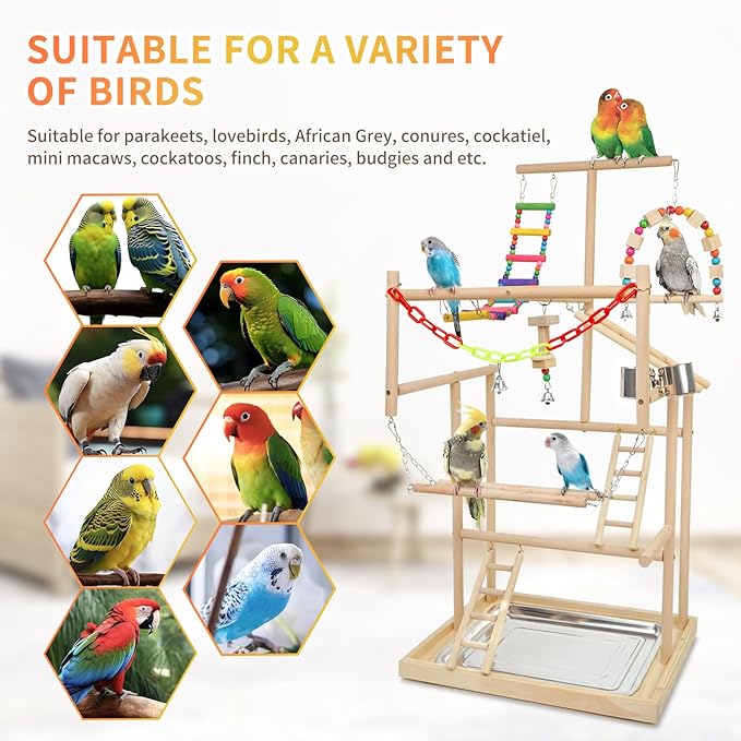 Bird Playground, Playstand for Parrot Cage Accessories (4 Ladder)