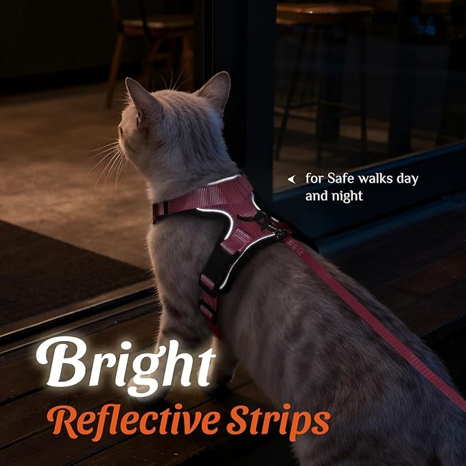 Dooradar Cat Harness and Leash Set, Escape Proof Safe Adjustable Kitten Vest Harnesses for Walking, Easy Control Soft Breathable Mesh Jacket with Reflective Strips for Cats, Pink, S
