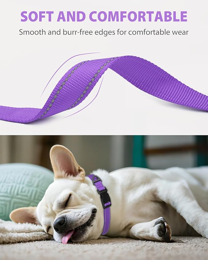 Joytale Small Dog Collar, Reflective and Adjustable Nylon Collar with Quick-Release Buckle, Lightweight No-Choke Design for Small Dogs, Purple, 5/8" Width