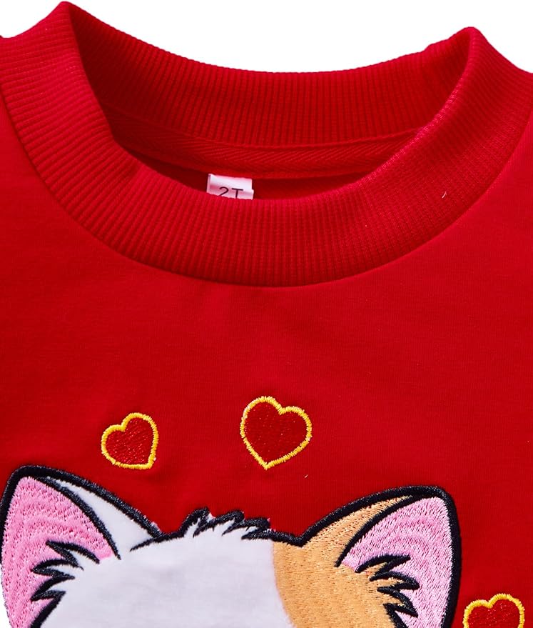 Toddler Baby Girls Cotton Sweater, Long Sleeve Crewneck Sweatshirt Pullover Kids Warm Clothing for Fall Winter