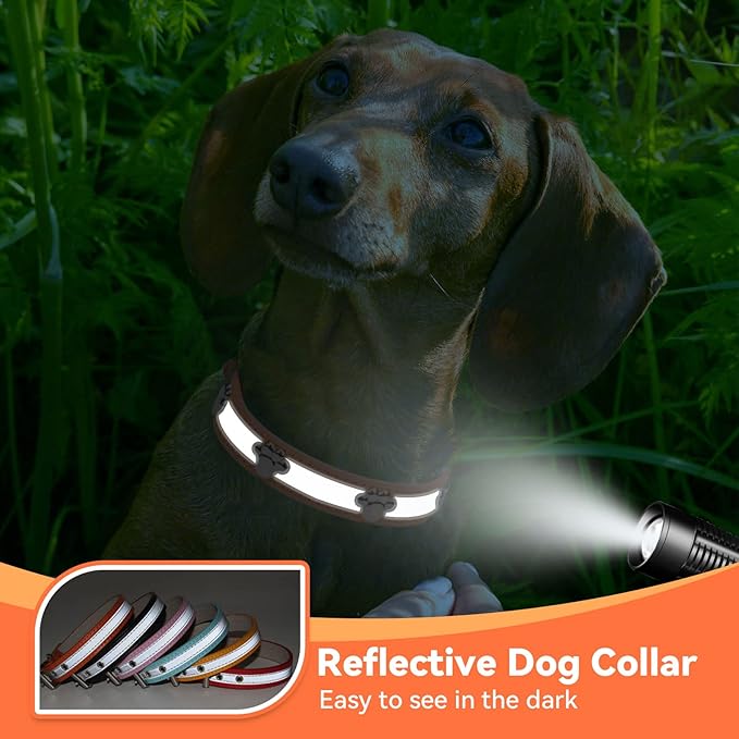 PETCARE Reflective Dog Collar with Cute Paw Rivet Studded Funny Soft PU Leather Adjustable Puppy Dog Collars for Small Medium Large Dogs Cats (Orange,Large)