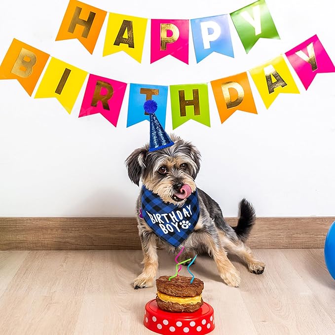 Dog Cat Birthday Party Supplies, Dog Cat Birthday Decorations Hat Bandana Bow Tie Collar Set with 0-8 Number for Large Medium Small Pet (Large, Blue)