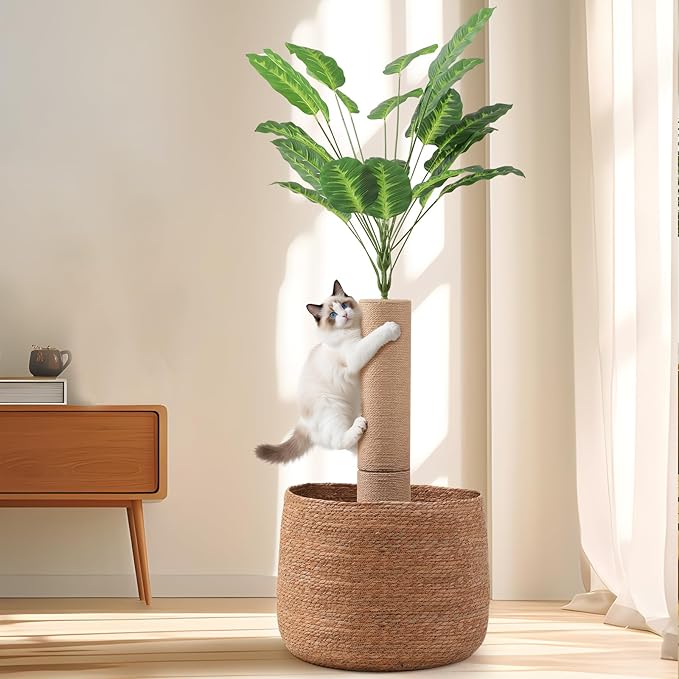 62 Inch Tall Cat Scratching Post with Bed, Banana Leaf Tree Scratching Posts for Indoor Cats Adults, Modern Artificial Plants Scratcher Post with Foldable Woven Cat Basket for Home Decor