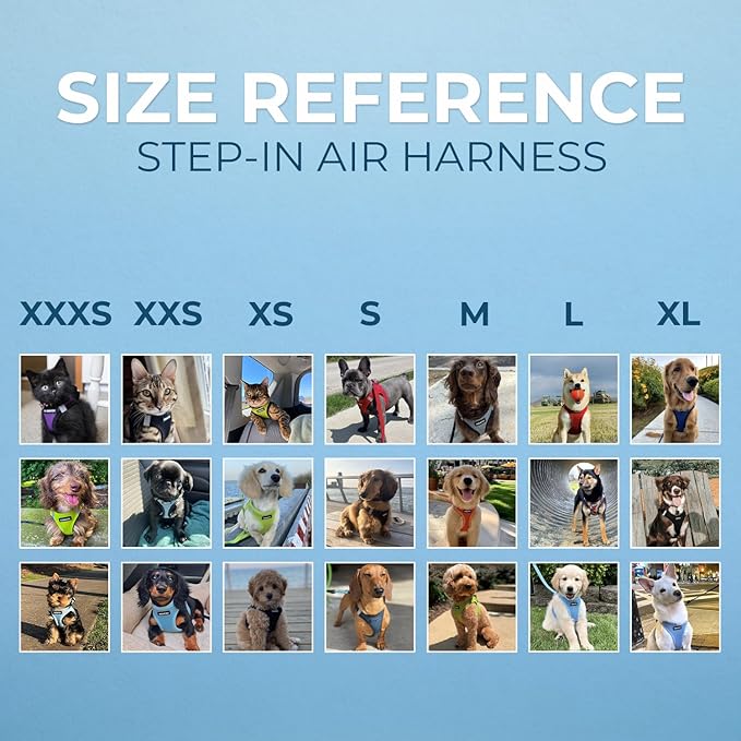 Best Pet Supplies Voyager Step-in Air Harness - All Weather Mesh, Reflective, No Pull Harness for Dogs, Cats - Secure with Hook & Loop Fastener, Buckle, Double D-Rings - Moss Green, XXXS