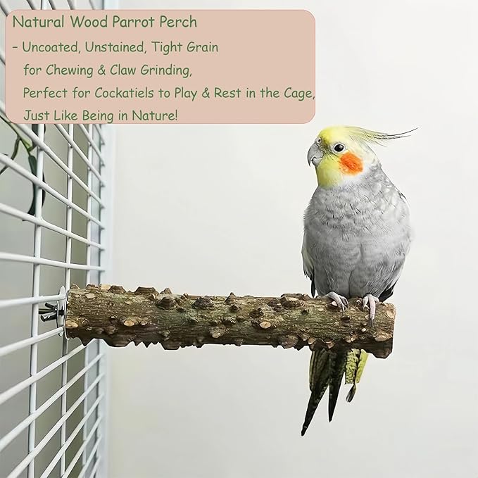 4 Pack Bird Perches for Cage with Natural Wood, ROOJUNE Bird Cage Accessories Bird Perch Platform for Small Medium Parakeets Parrots Conures Cockatiels Finches Lovebirds