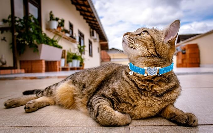Heart Bling Cat Collar with Safety Belt and Bell Adjustable 8-10 inches for Kitten Cats (Blue)