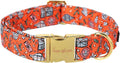 Unique style paws Dog Collar Metal Buckle Puppy Collar for Winter Christmas for Small Medium Large Boys Girls Dogs