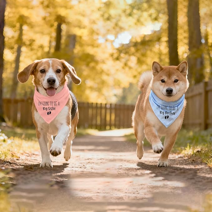 2 Pack Dog Bandana Pregnancy Announcement, I'm Going to Be a Big Brother Gender Reveal Puppy Dog Scarf Accessories, Adjustable Pet Bandana Scarf for Small Medium Large Dogs