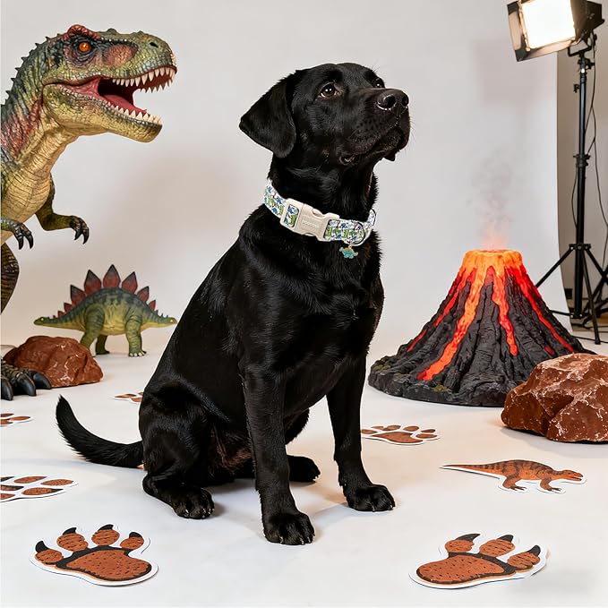 DOGWONG Dinosaur Dog Collar-Cute Green Dinosaur Dog Collar for Small Dogs, Adjustable Comfortable Cotton Boy Dog Collars for Small Medium Large Dogs,XL