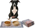 LOVEWAG Waterproof 2-Pack Pet Feeding Mats - 16" x 24" Premium Cat & Dog Food Mat - Non-Slip, Machine Washable Food Mat Protects Floors & Contains Water Bowl Spills - Place Mats (Rustic Terracotta)