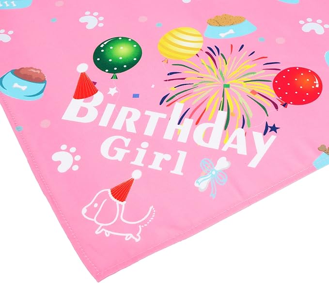ADOGGYGO Dog Bandana Hat Set for Birthday Party Supply, Boy Girl Puppy Birthday Scarf for Small Dog (Small, Pink)