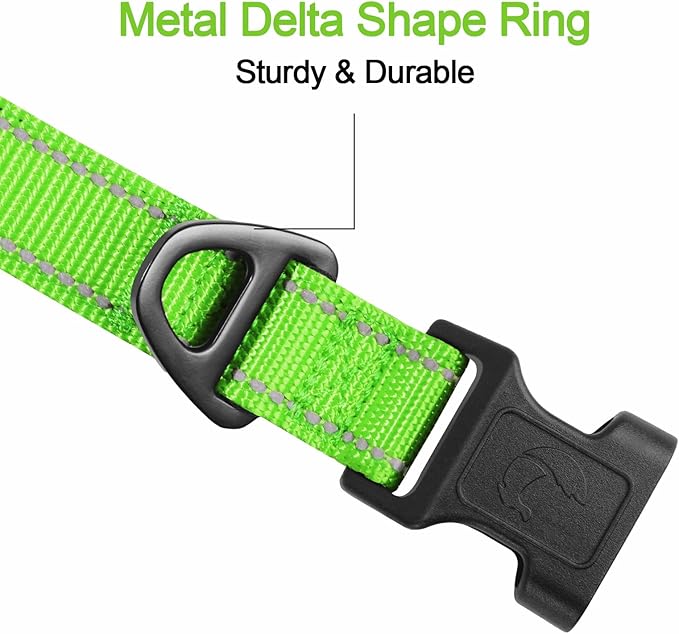 Joytale Reflective Dog Collar, Soft Neoprene Padded, Metal D-Ring, Nylon Pet Collar Adjustable for Extra Large Dogs, Green, XL