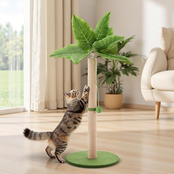 Cat Scratching Post 33 Inch, Cat Tree with Dangling Ball for Indoor Cats and Kittens, Green