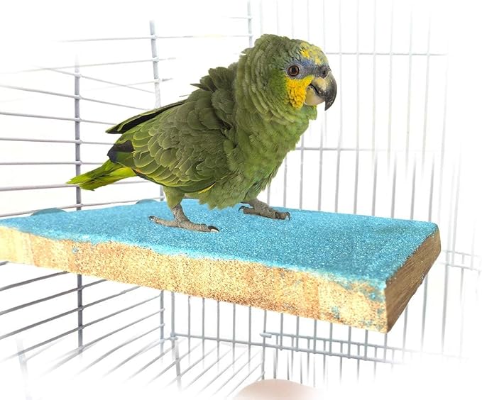 Litewoo Bird Perch Grinding Stand for Bird Parrot Budgie Parakeet Cockatiel Conure Lovebird Finch（5.1" x 3.5"）