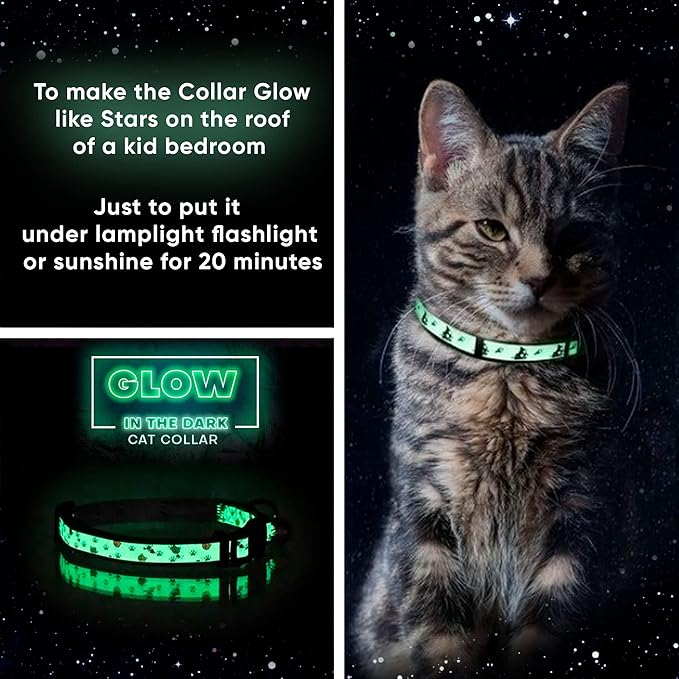 Pawtitas Glow in The Dark Cat Collar with Breakaway Safety Buckle & Bell Adjustable Kitten Collar, Grey