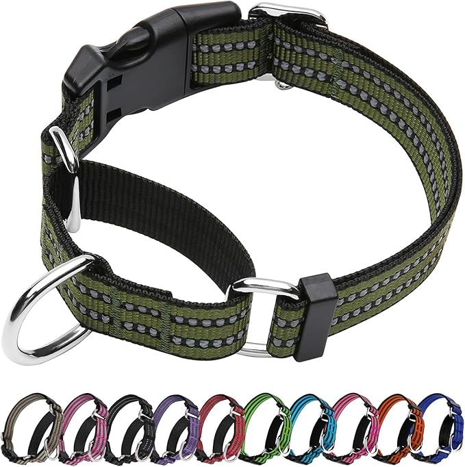 Martingale Dog Collar, Adjustable Nylon Reflective Collar with Quick Release Buckle (Forest Green, Small)