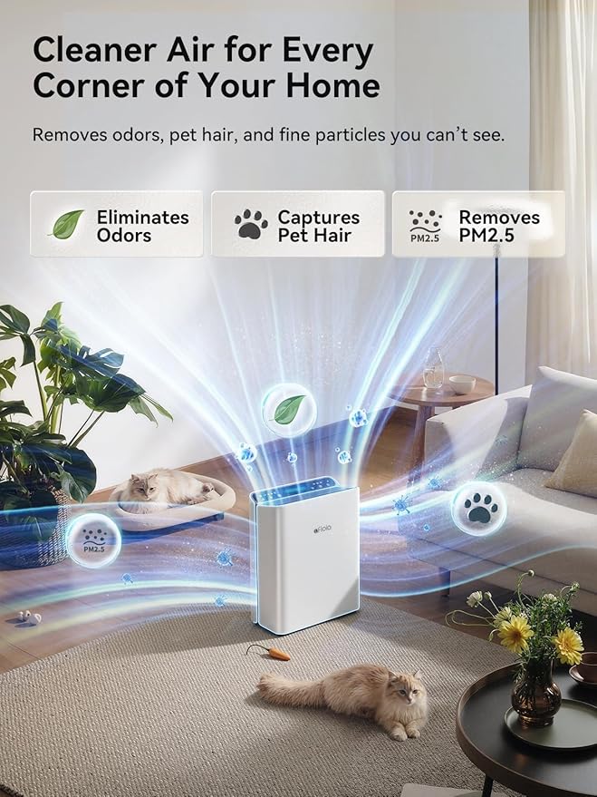 Afloia Air Purifier for Home Large Room Bedroom Up to 2000Ft² with PM2.5 Air Quality Monitor Smart Auto Mode, Washable Pre Filter Cleaner for Pet, Europa 2.0