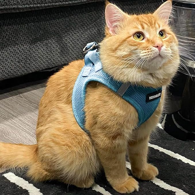 Best Pet Supplies Voyager Step-in Air Harness - All Weather Mesh, Reflective, No Pull Harness for Dogs, Cats - Secure with Hook & Loop Fastener, Buckle, Double D-Rings - Baby Blue, M
